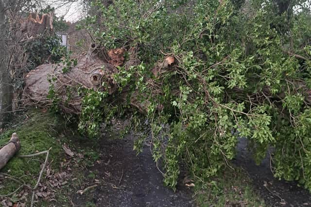 Northern Ireland braces for Storm Jocelyn as Met Office warns that ...