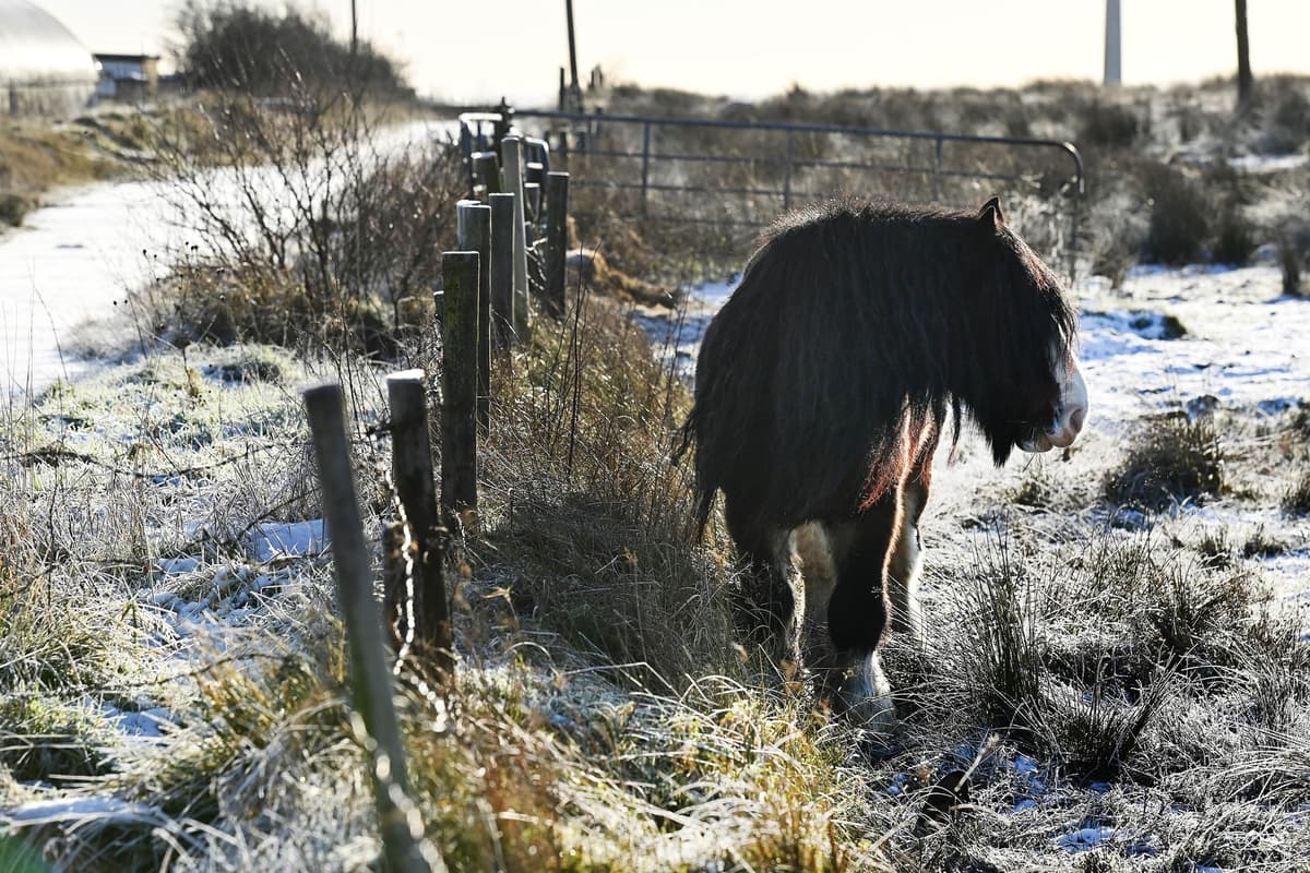 Weather: Temperatures to fall to  at least -4 °C tonight with widespread frost