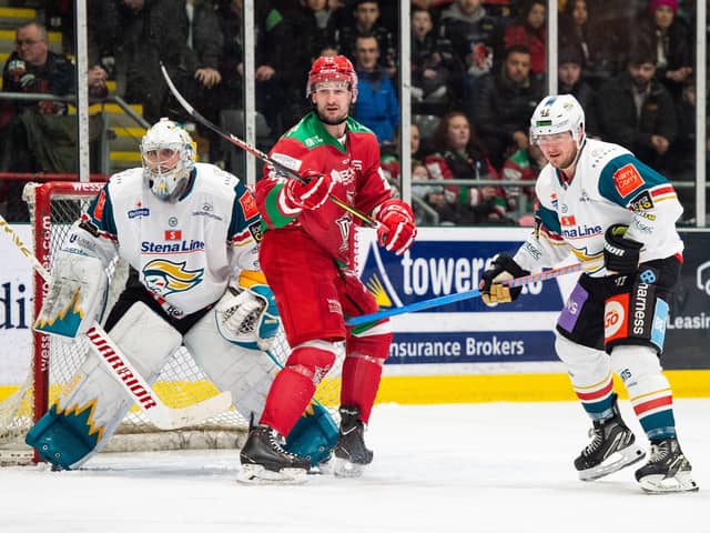 Belfast Giants defenceman Gabe Bast in action against the Cardiff Devils last weekend. Picture: James Assinder