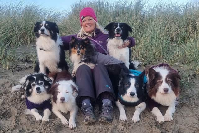 Kate McCartney from Lisburn has become the first-ever female UK Crufts chief obedience steward. Pictured with her seven dogs Bestie, Robbo, Denny, Rio, Scholesy, Giggsy and Keano
