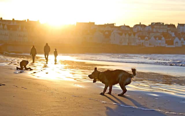 Enjoying West Strand Beach in Portrush Co Antrim at the end of December when the days were already getting longer. And the sun, when it does appear in late December or early January, is at a beautifully low angle. Pic Steven McAuley/ McAuey Multimedia