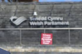 The Senedd (Welsh parliament) elections on May 7 could see nationalist party Plaid Cymru form a government for the first time