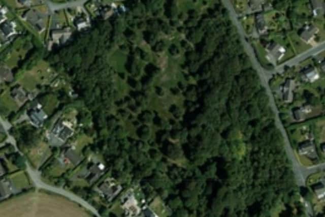 An aerial view of Tullynagardy Wood, Newtownards, included by Ards and North Down Council planners in a report okaying a housing development on the site.