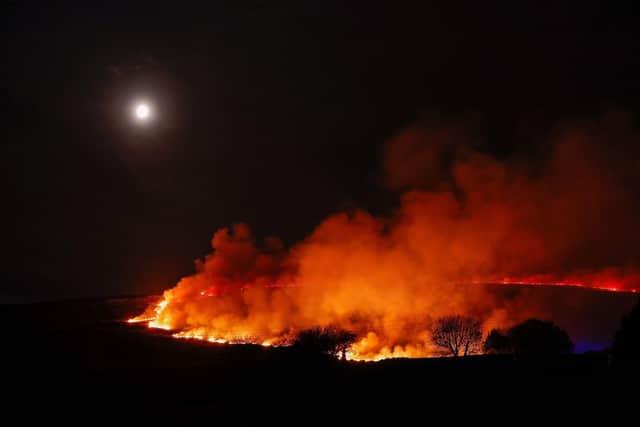 Firefighters and appliances at the scene of wildfires that are spreading across the Mourne mountains. Photo by Phil Magowan / Press Eye