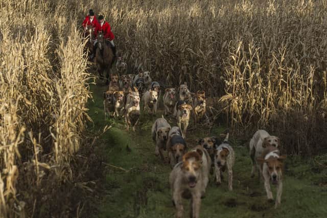 A traditional Boxing Day hunt  (Photo by Dan Kitwood/Getty Images)