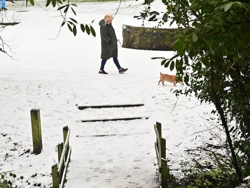 Dog Walkers  in Crumlin Glen, Co Antrim on Wednesday