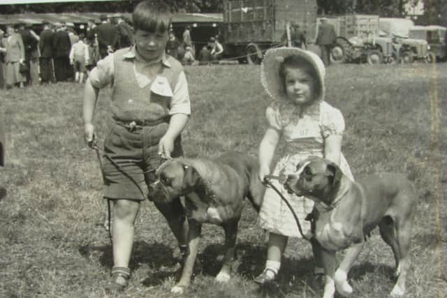 Ann Ingram and her brother James handling Boxers at a dog show