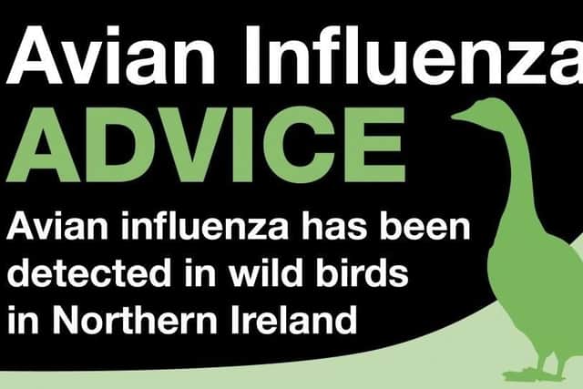 Avian flu has been detected in wild birds in Northern Ireland.