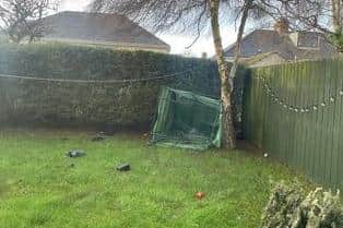 Sharon Mcindoe from Glengormley was heartbroken to see her greenhouse blown from the front of her garden to the back of it by Storm Isha - with the contents 'splattered everywhere'.