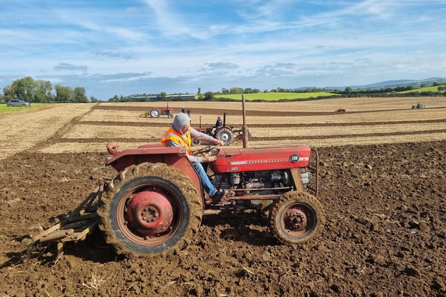 Two great fields were provided by the Porter family with plenty of room for everyone and even it stayed dry and the sun shone. Picture: Jonathan Haire