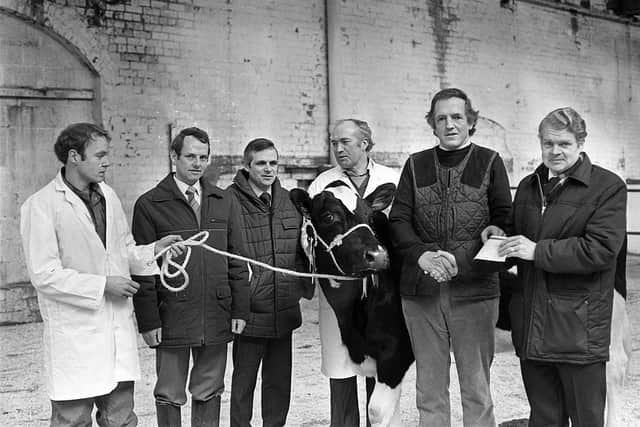 Mr Campbell Houston, right, manager, Ulster Bank, Banbridge, presents a sponsorship cheque to Mr Joe Caddoo (second right), vice president of the Northern Ireland British Friesian Breeders’ Club (NIBFBC). Included from left are, Mr Norman Hamilton with Mr Caddoo’s supreme champion, Mr Stephen Smith, agricultural adviser, Ulster Bank, Mr Edwin Bryson, auctioneer, and Mr Wilbert Rankin, president NIBFBC, at the show and sale held at Banbridge in January 1984. Picture: Farming Life archives/Darryl Armitage
