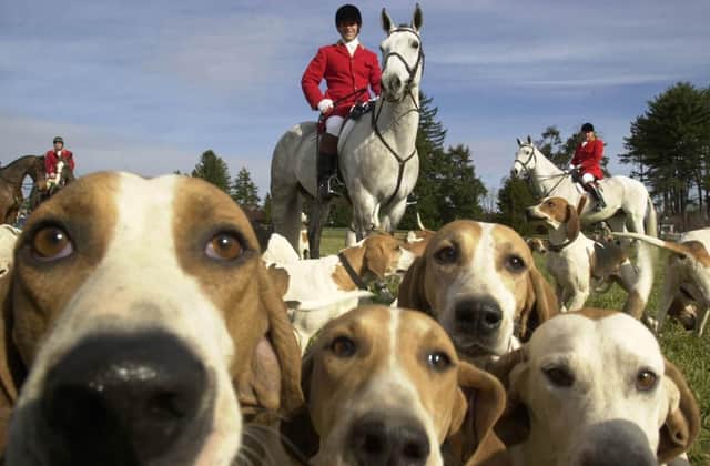 Alliance is seeking to ban fox hunting in NI. John Blair MLA says he will bring proposals to outlaw hunting with dogs through a private members bill - if and when the Assembly returns.
