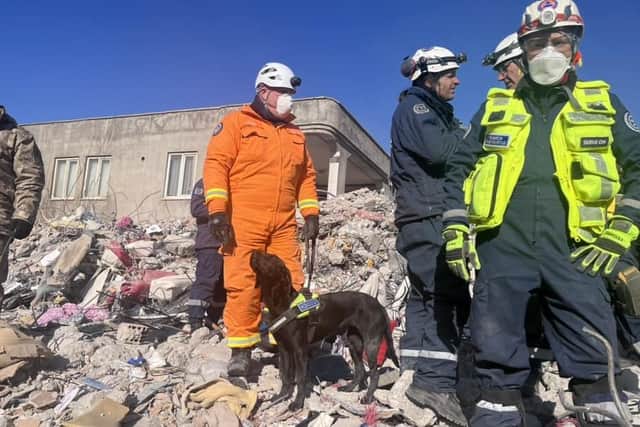 Kyle Murray and his rescue dog Delta on the scene of the operation in Turkey.