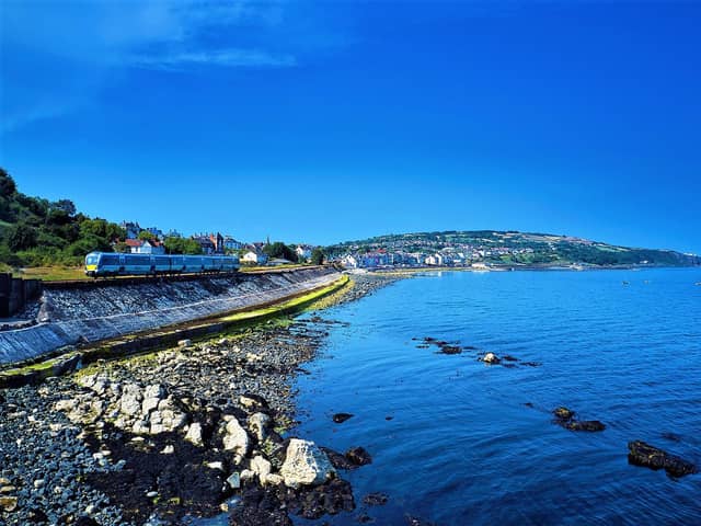 A train passing Belfast Lough at Whitehead