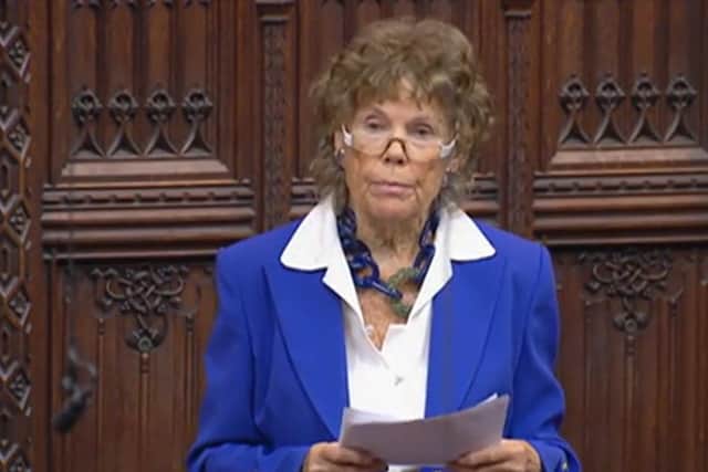 Baroness Hoey speaking during the House of Lords session