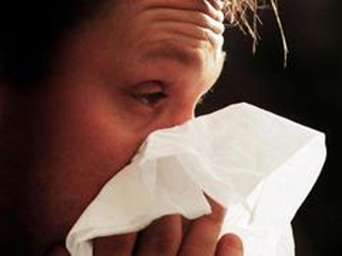 'Having flu at the same time as Group A Strep iincreases the risk of developing the more serious invasive disease'