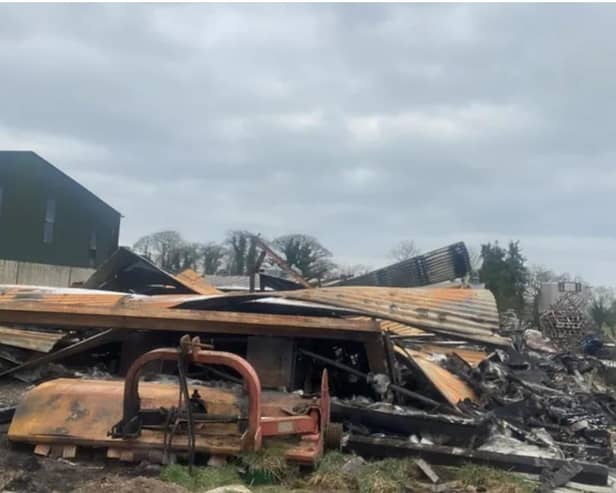 The remains of the shed which had housed some 1000 piglets in Dungannon before the weekend blaze.