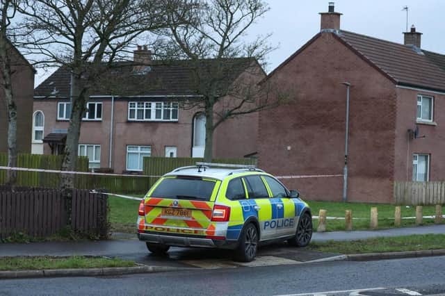Blake Newland was attacked at Woodland Walk in Limavady around 9.35pm on Friday. Another man, aged in his 50s, was taken to hospital where his condition has been described as stable. Photo: Pacemaker