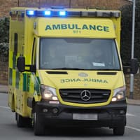 Man struck with iron bars and shot in leg by four masked attackers in house