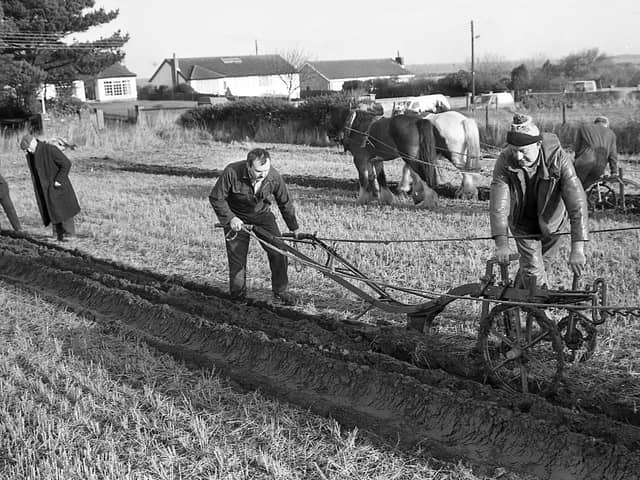 They had been ploughing straight furrows at Groomsport, Co Down, at the end of January 1992. Competitors from all over the province showed of their expertise at the Newtownards Young Farmers’ Club ploughing match. Pictured is Leslie Bell from Moneyrea and Sammy Jackson at work in the horse ploughing section at Groomsport. Picture: Farming Life/News Letter archives