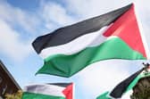 ​Unionists have welcomed a court's decision which partially upheld objections to Belfast City Hall flying the Palestinian flag.