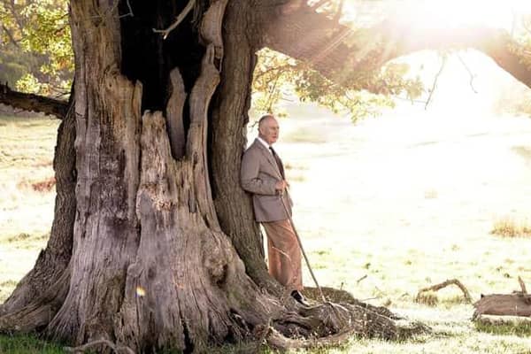 King Charles III standing beside an ancient oak tree in Windsor Great Park to mark his appointment as Ranger of the Park