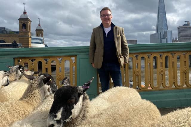 Richard Yarr on London Bridge to drive his sheep over the Thames river on Sunday September 24 2023