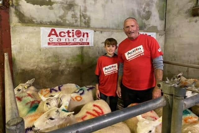 Raffrey farmer Dee Heron and his grandson Harry auctioning sheep at the Saintfield Mart. Picture: Action Cancer