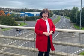 Diane Dodds MLA has hit out at yet more delays to a £130m improvement scheme for the A1 dual carriageway from Hillsborough to Loughbrickland.