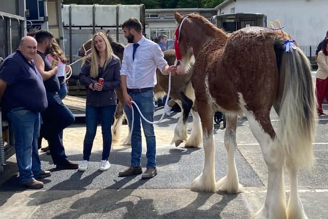There was plenty of chat at the horse show during the Old Lammas Fair in Ballycastle. Picture Kevin McAuley
