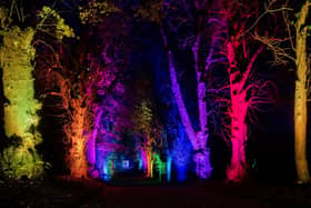 Christmas at Hillsborough Castle & Gardens - this magical new after-dark festive trail - is now open until January 1, 2023.