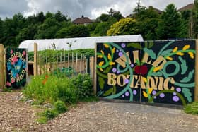 The community garden planted and maintained by Friends Of The Field on Lower Botanic Gardens. Photo: Friends Of The Field/Facebook