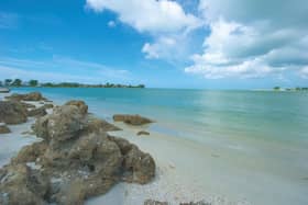 Boca Beach, Fort Myers, is open to visitors