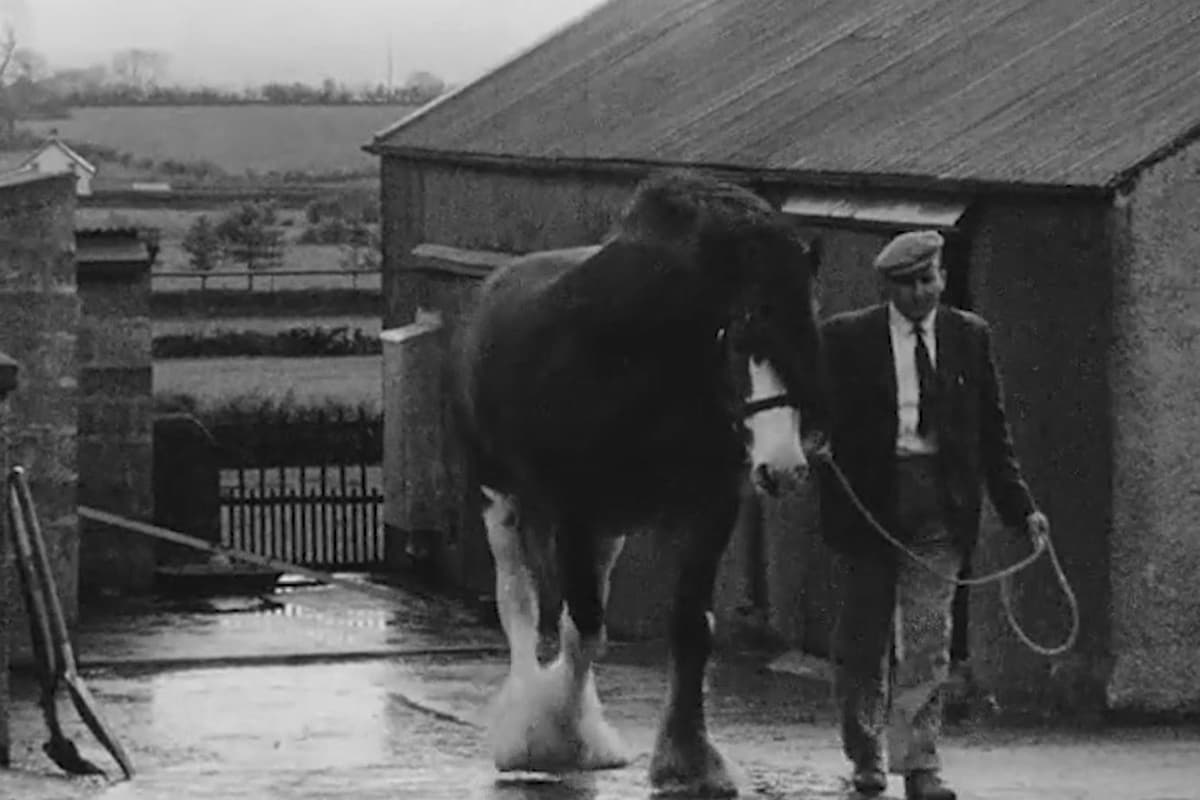 Watch: Tors Benefactor arrives from Scotland to stay Co Londonderry with Mr James Blair (1964)