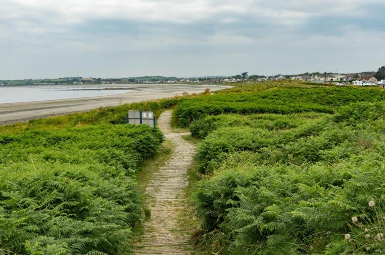 Council split amid claim that six-figure beach cleaning equipment 'may ...