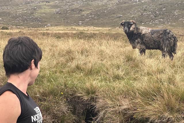 Lynne Troughton looks on at the rescued sheep following the incident in the Mournes last weekend