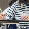 Some 15,000 primary school pupils have received results from their transfer tests as part of the academic selection system in Northern Ireland.