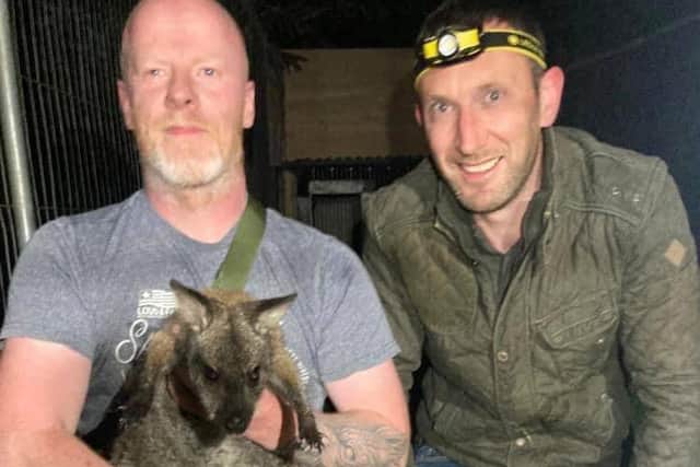 Richard Beattie holding a wallaby named Winnie, that has been found safe and well after three days on the run in Co Tyrone. Large-scale searches were launched after Winnie was reported missing from the Glenpark Estate, close to Omagh in Co Tyrone, on Sunday. Picture date: Thursday August 25, 2022.