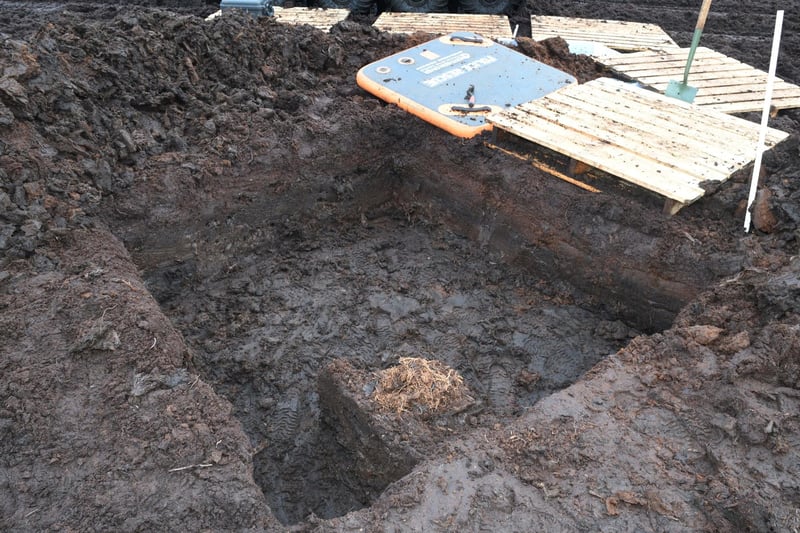 The excavations first uncovered a tibia and fibula and a humerus, ulna, and radius bone relating to the lower left leg and right arm respectively.
 
Further investigation revealed more bones belonging to the same individual. About five metres south of the surface remains, the bones of a lower left arm and a left femur were located protruding from the ground.
 
Further examination of the area between the main body and the surface remains located additional finger bones, fingernails, part of the left femur and the breastbone.