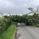 Heavy overnight winds have brought down a tree on the Carmavy Road in Antrim leaving the roads unpassable at the minute.