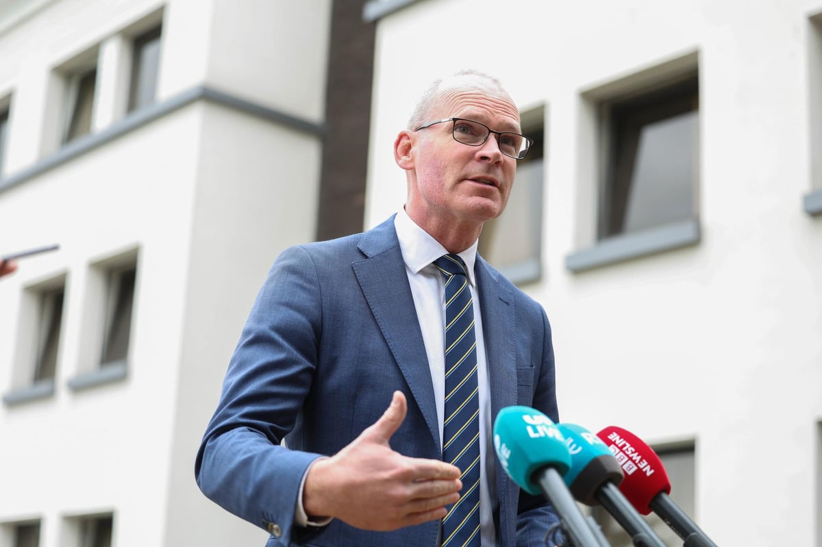DUP chairman says 'intransigent' Coveney no help in impasse over Protocol
