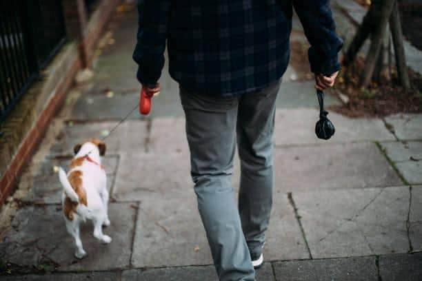 Generic image of man walking a dog