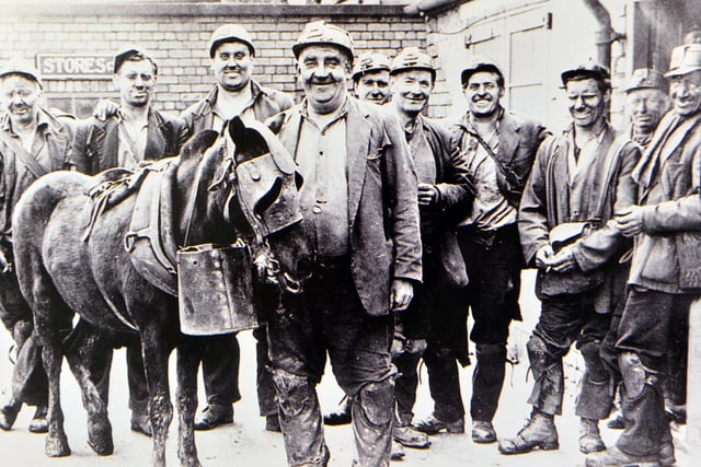 Miners and pony from Shirland pit but do you know when this was taken? According to records, Shirland colliery closed in 1965.