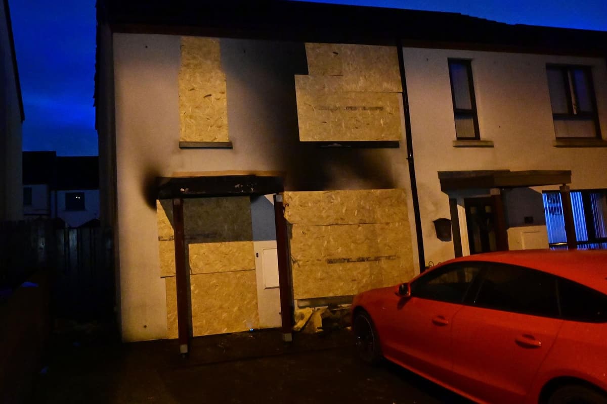 Two pet dogs die following petrol bomb attack on house in Co Down, police have said
