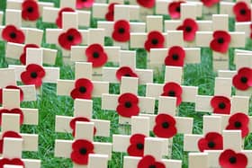 A temporary Field of Remembrance has been opened at Belfast Cenotaph where people can plant a remembrance in honour of those who made sacrifices in conflict.