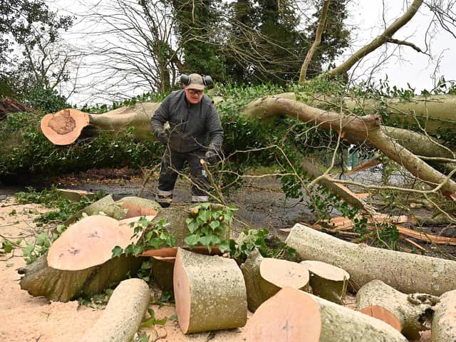Thousands of homes in Northern Ireland remain without power after Storm Isha caused severe disruption. This was the scene at Saint Joseph's Church on the Glen Road, Glenavy. Picture By: Arthur Allison/Pacemaker Press.
