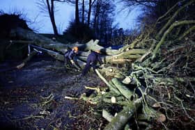 Workers at Massereene Golf Club begin clearing away a fallen tree on the Lough Road, Antrim, this morning following the devastation of Storm Isha