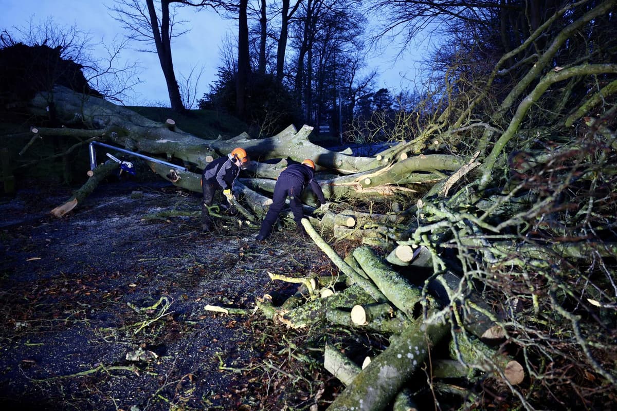 Clean-up under way after Storm Isha leaves trail of damage across Northern Ireland