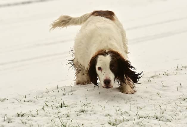 Police said driving conditions remain hazardous across Northern Ireland due to the snow and freezing temperatures.
Photo Colm Lenaghan/Pacemaker