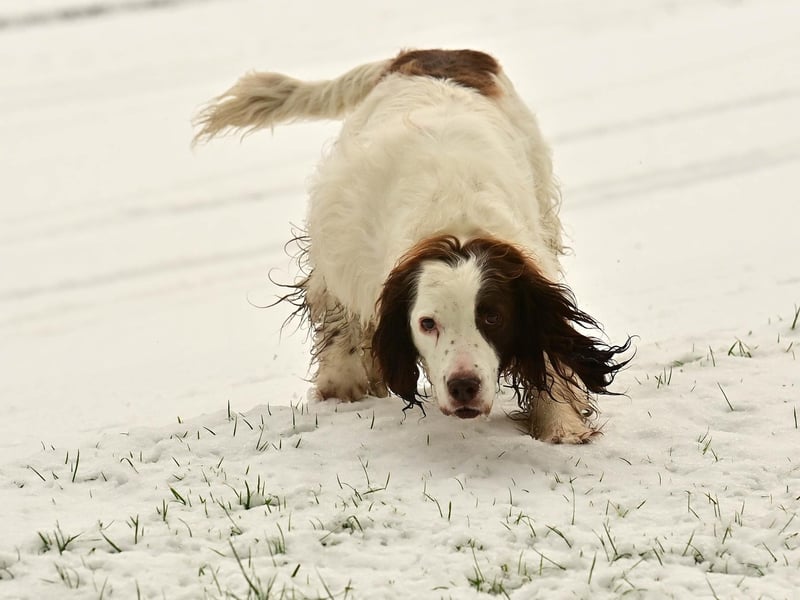 Police said driving conditions remain hazardous across Northern Ireland due to the snow and freezing temperatures.
Photo Colm Lenaghan/Pacemaker